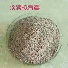微生物肥料價(jià)格走勢與市場動(dòng)態(tài) 聚焦農(nóng)化網(wǎng)第三頁批發(fā)報(bào)價(jià)及甲殼素農(nóng)業(yè)肥料研發(fā)銷售新趨勢