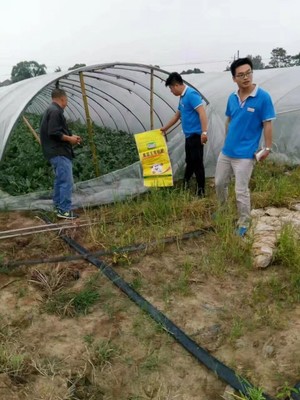 鴻源有機肥蝦稻專用肥的產(chǎn)品使用