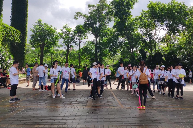 攜手并進·沖刺2019|MG不朽情緣物里營銷中心登山拓展活動圓滿結束!